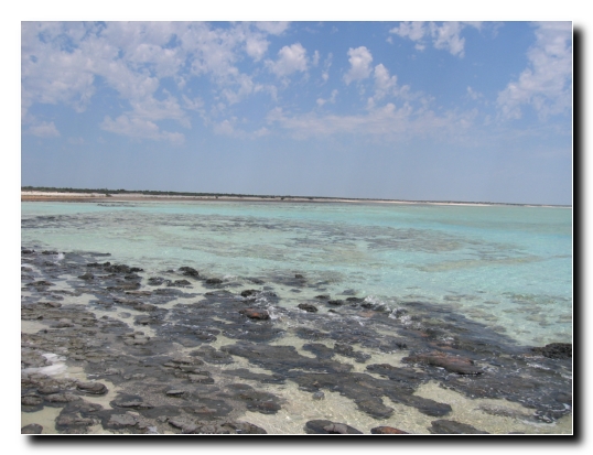 21 Stromatolites im Meer